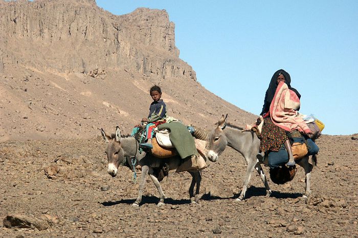 Pendidikan Nomaden: Sekolah Bergerak untuk Anak-Anak di Pedalaman